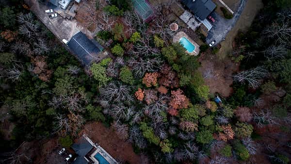 Suburban houses backing onto woodland in Birmingham, United States, photographed from above the treeline