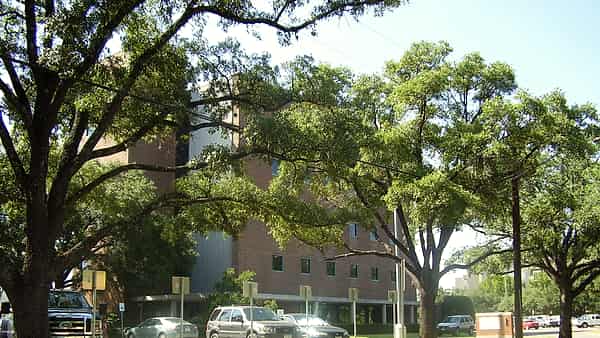 The headquarters building of the Texas Department of Motor Vehicles on Jackson Street in Austin