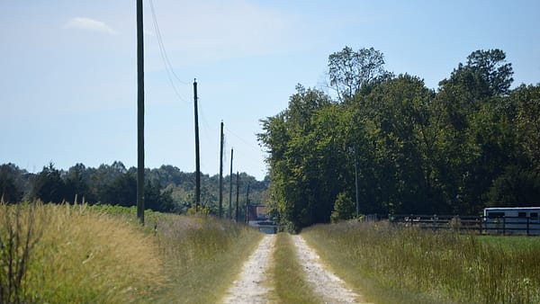 A long driveway leading toward the Joseph Jordan house in Isle of Wight County, Virginia