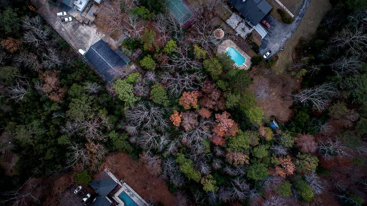 Suburban houses backing onto woodland in Birmingham, United States, photographed from above the treeline